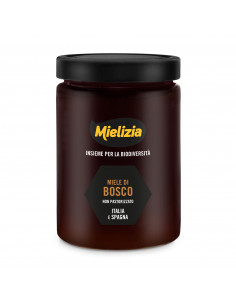 Miele di Bosco Vasetto 700g (Italia-Spagna)