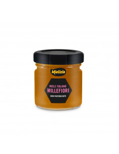 Wildflower Honey - 40g Jar