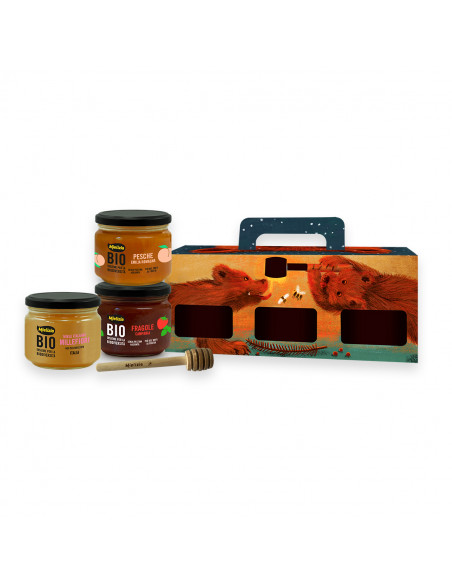 Valigetta di Natale - Idea regalo con miele e composte di frutta biologici e spargimiele Mielizia