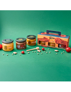Valigetta di Natale - Idea regalo con miele e composte di frutta biologici e spargimiele Mielizia