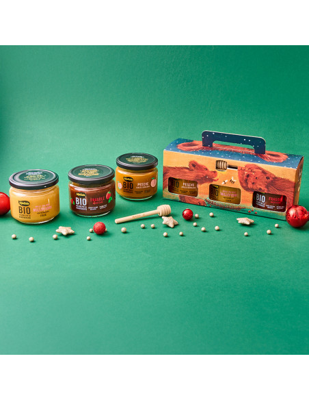 Christmas Gift Set - Gift idea with organic honey and fruit compote and Mielizia honey dipper