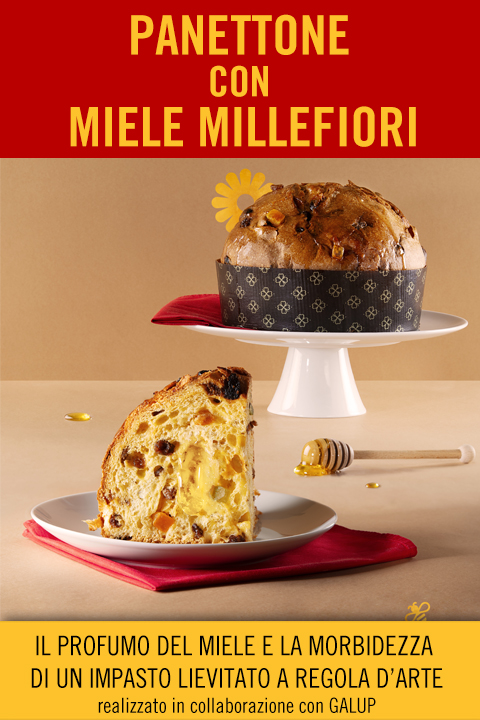 Panettone